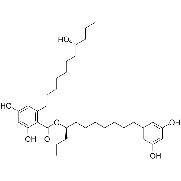 Integracin B