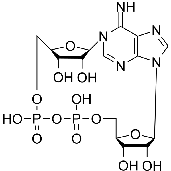 Cyclic ADP-​ribose                                          (Synonyms: 环状ADP核糖; cADPR)