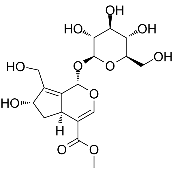 10-Hydroxy majoroside                                          (Synonyms: 10-羟基大车前草苷)