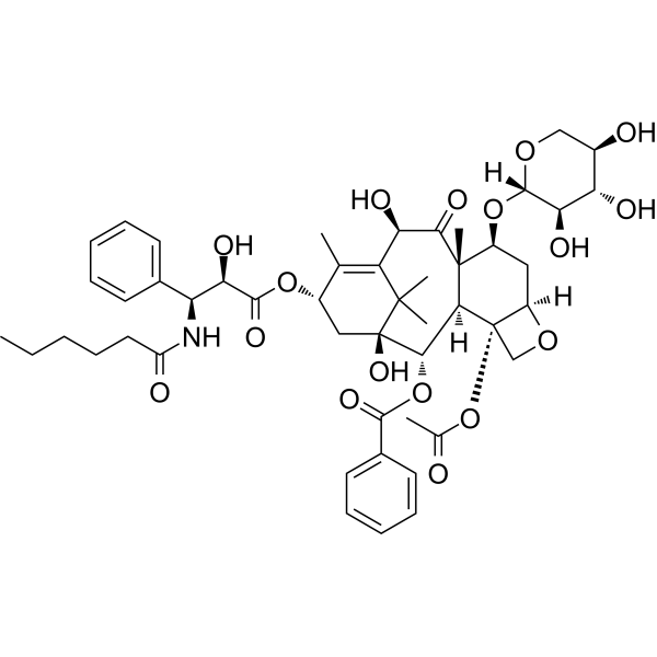 7-Xylosyl-10-Deacetyltaxol C                                          (Synonyms: 7-Xylosyl-10-Deacetylpaclitaxel C)