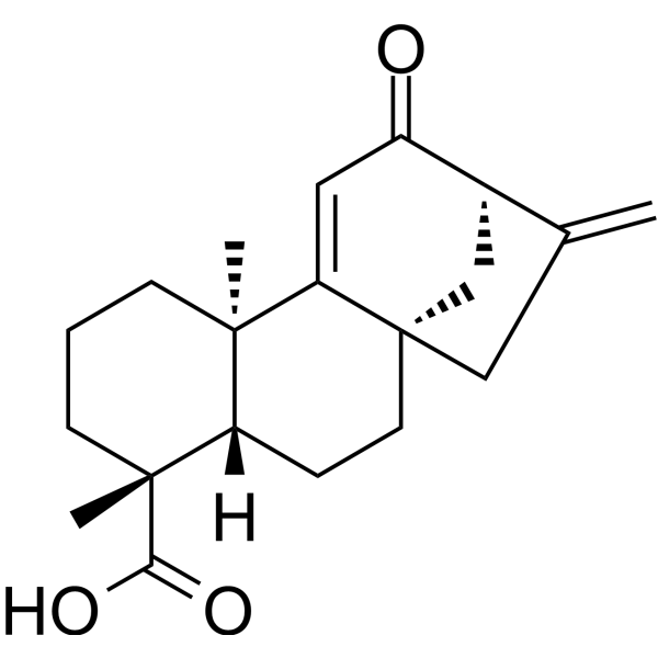 12-Oxograndiflorenic acid