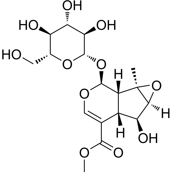 Phlorigidoside C