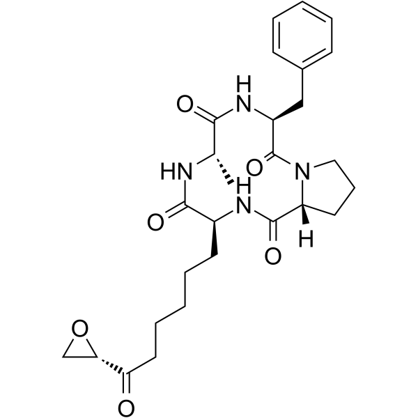 1-Alaninechlamydocin