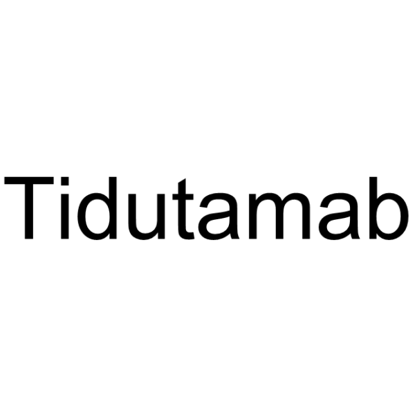 Tidutamab                                          (Synonyms: 泰妥单抗; XmAb-18087)