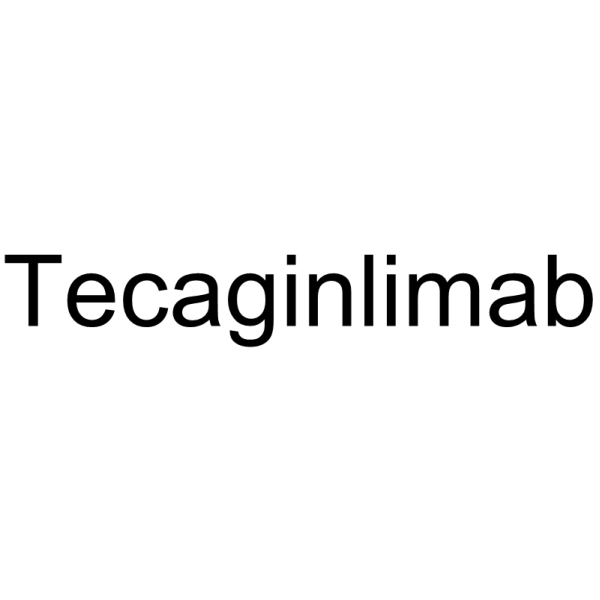 Tecaginlimab                                          (Synonyms: BNT-312;  DuoBody-CD40x-4-1BB;  GEN1042)